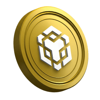 Página de la guía del trader principiante con criptomoneda BNB
